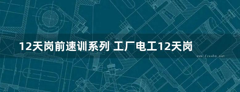 12天岗前速训系列 工厂电工12天岗前速训 双色印刷